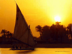 The Golden Nile
