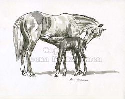 Mama and Foal